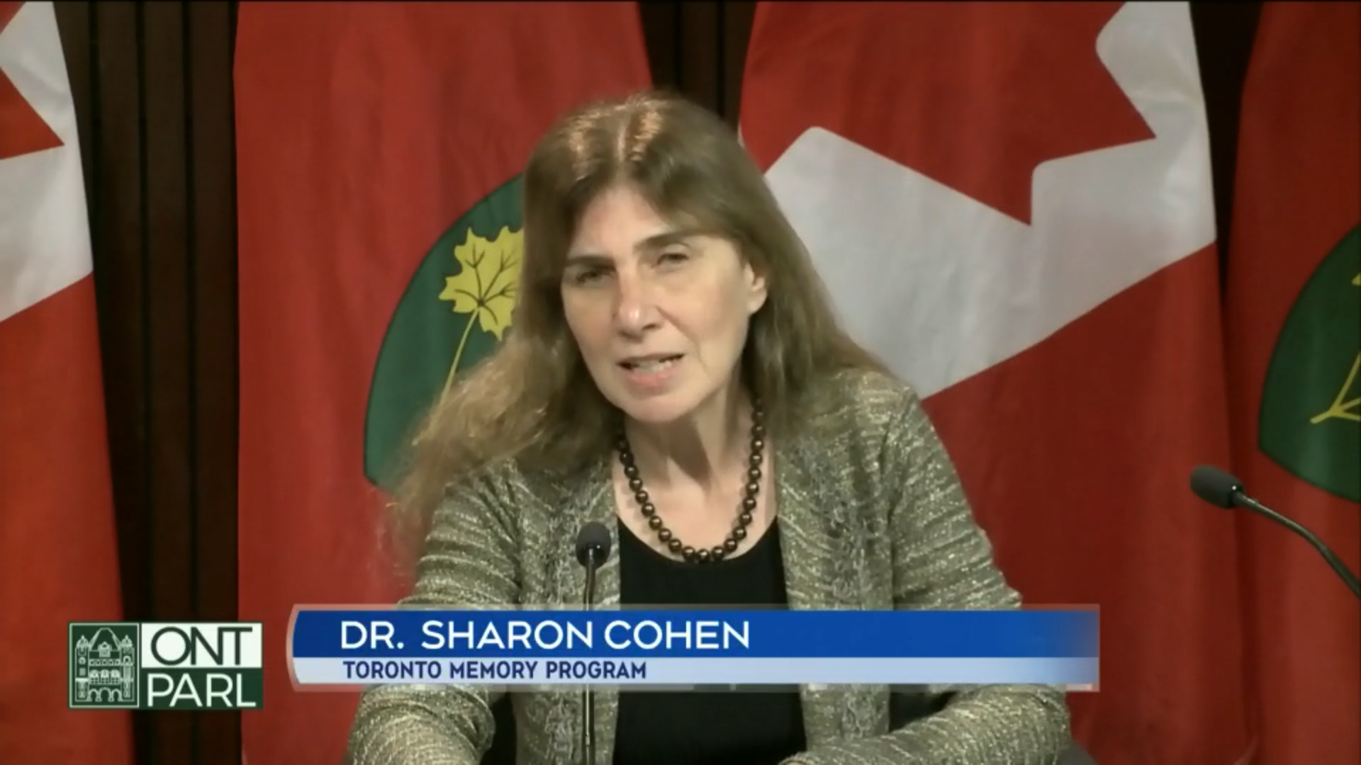 Dr. Sharon Cohen speaking to Ontario Parliament